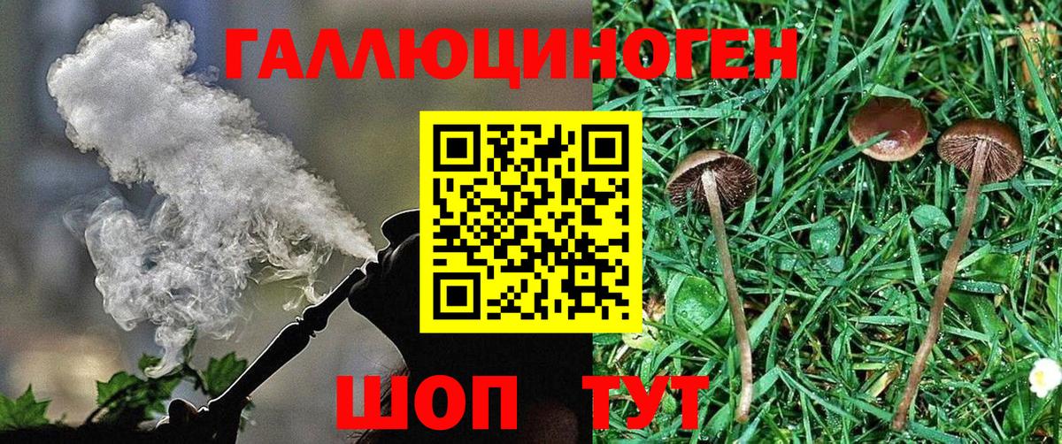 Набережные Челны  Галлюциногенные грибы ЛСД  Вход с VPN 